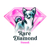 Logo do canil Rare Diamond, especializado em filhotes de Pomsky, Chihuahua e Pinscher.